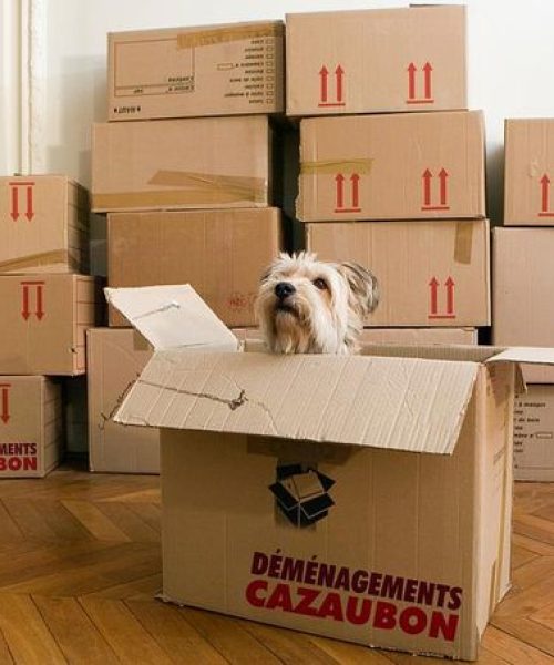 déménagement Cazaubon à Mont-de-Marsan