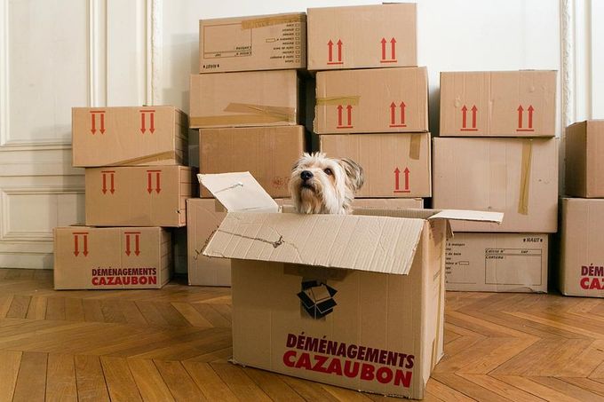 déménagement Cazaubon à Mont-de-Marsan